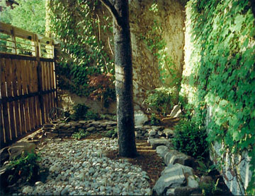 ASIAN Garden