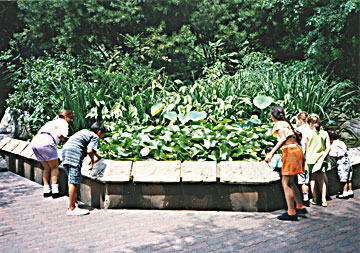 STEW LEONARD’S LITTLE FARM