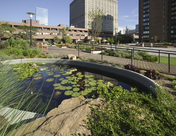 WATER FEATURES