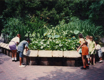 WATER FEATURES